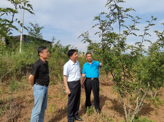 村落振兴工作动态（第135期）