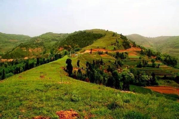 村落振兴工作动态 （第143期）