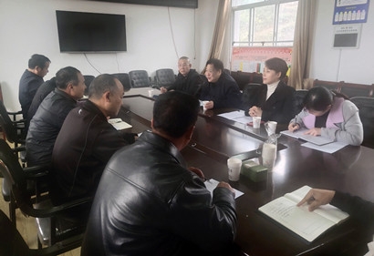 金辉赴马王村调研村落振兴工作