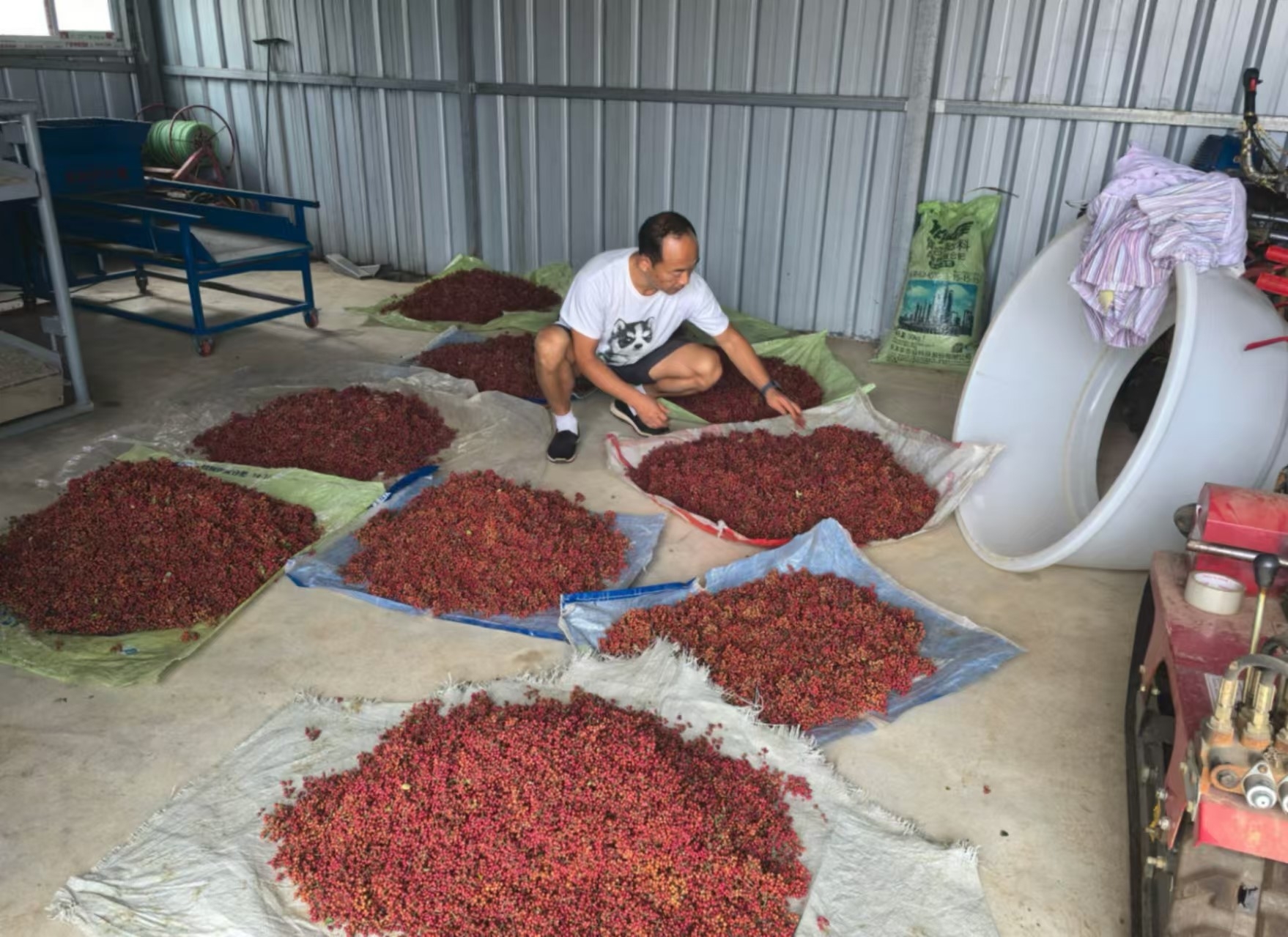 村落振兴工作动态（第160期）