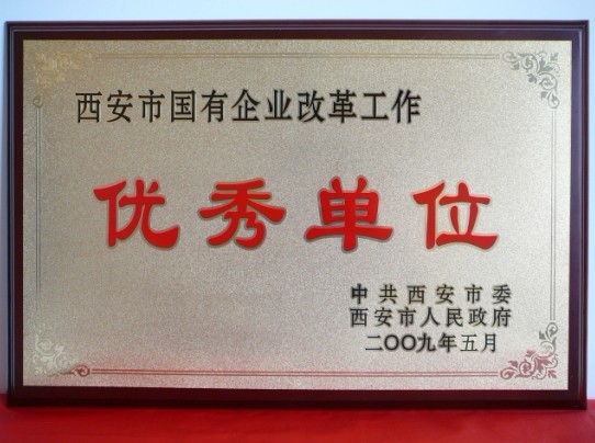 2009年5月，被西安市委、市当驹炖为西安市国企业鼎新工作优良单元