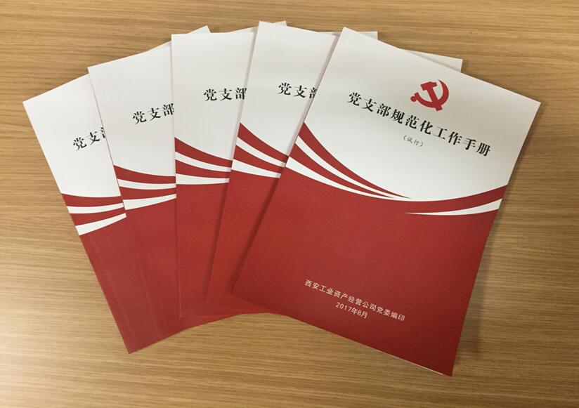 公司党委着力推动基层党建工作系列报路（之四）