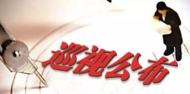 中共西安工业资产经营公司党委  关于巡视整改情况的传递