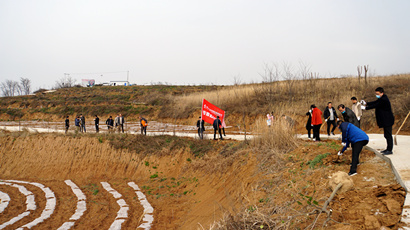 种下绿色但愿  共建俏丽马王